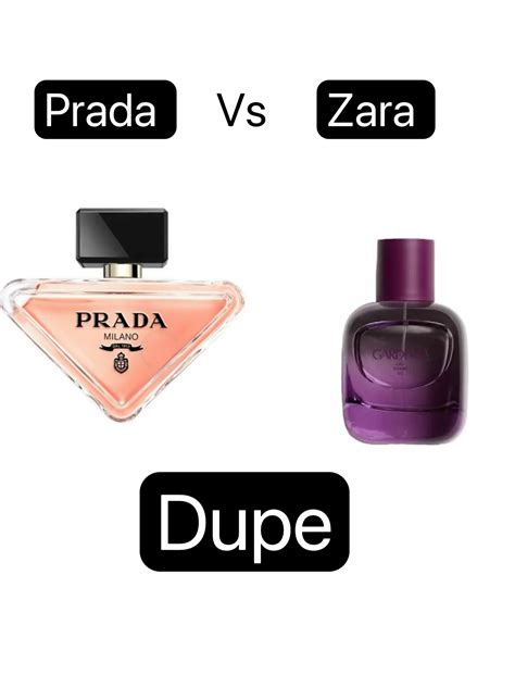 zara prada paradoxe dupe